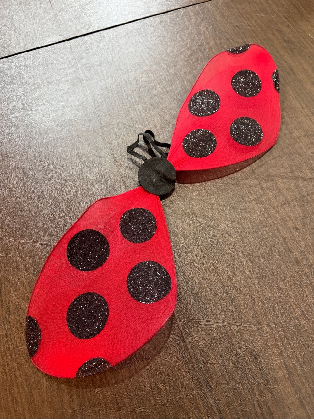 Kids Red Ladybug Play Wings